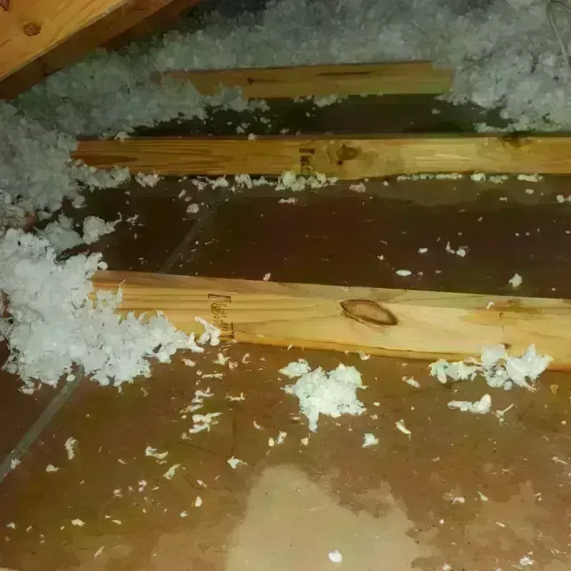 Attic Water Damage in Hedwig Village, TX