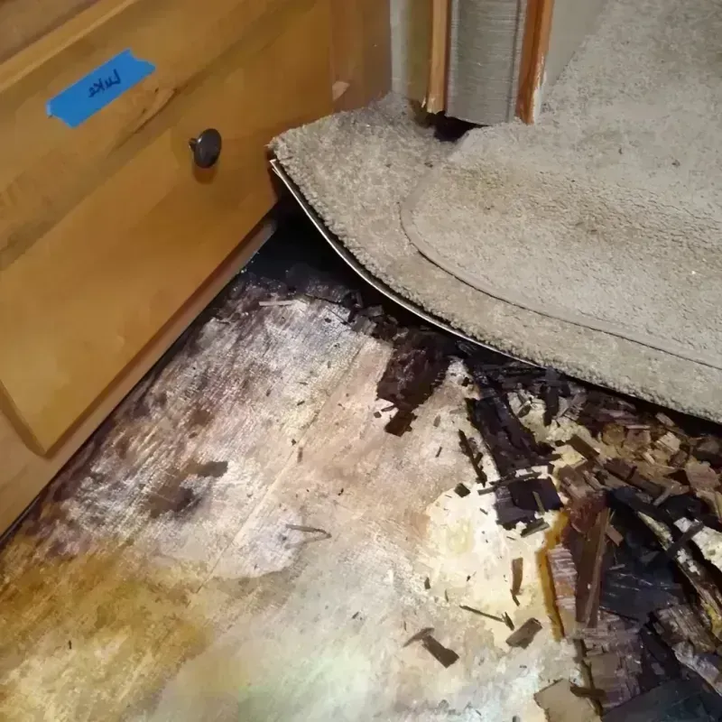 Wood Floor Water Damage in Hedwig Village, TX